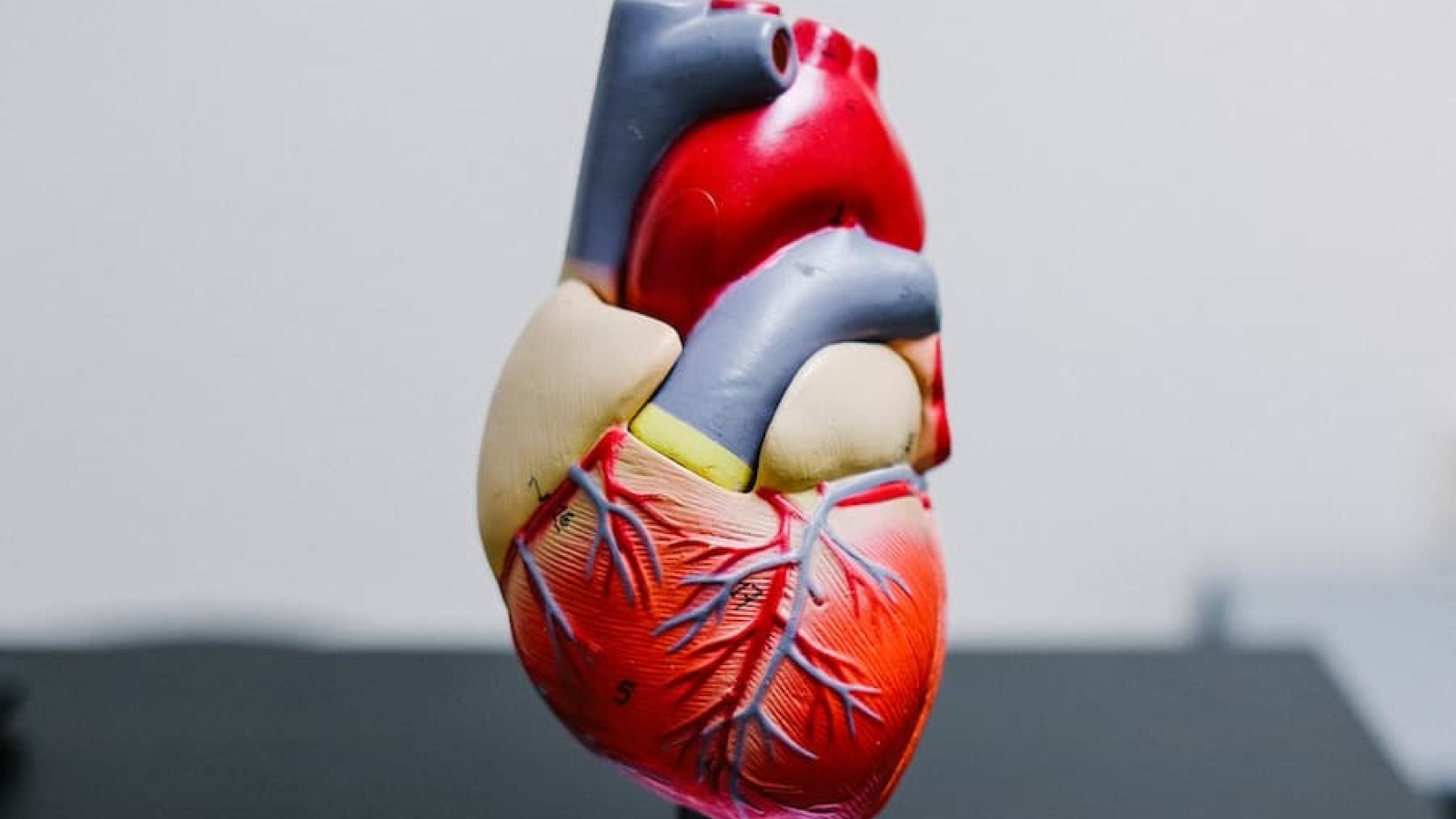problemas corazon enfermedades periodentales