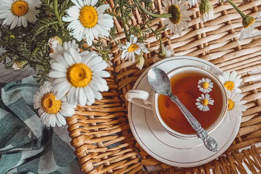 Odontologia bionerg&eacute;tica en Terrassa - odontologia bionergetica terrassa